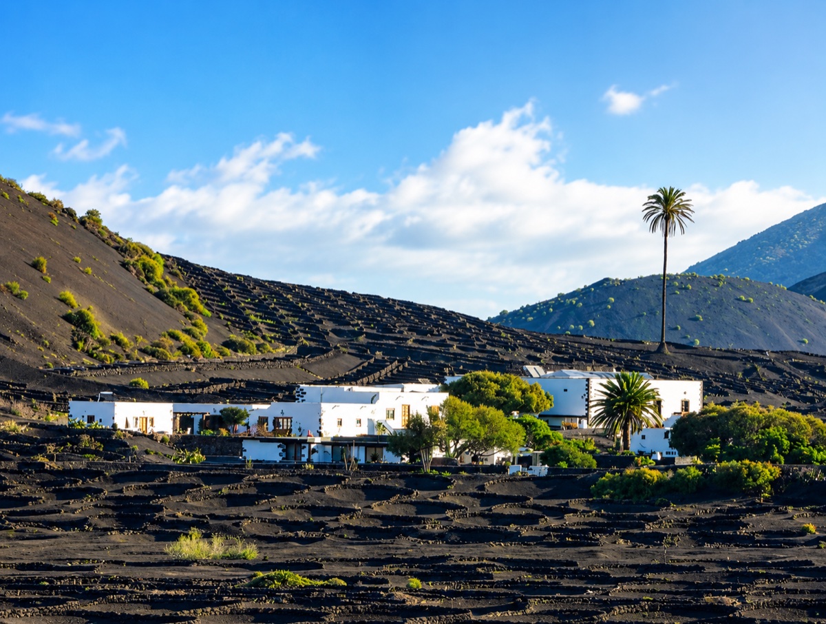 La Geria, Lanzarote